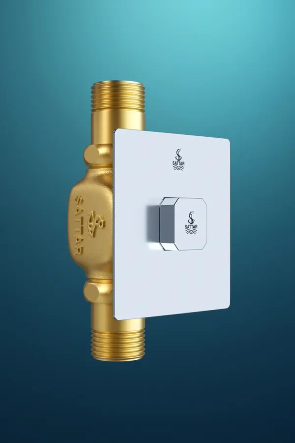 Toilet Push Flush Valve – Lever Series