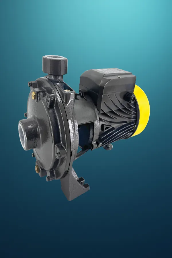 Two-Stage Centrifugal Pump